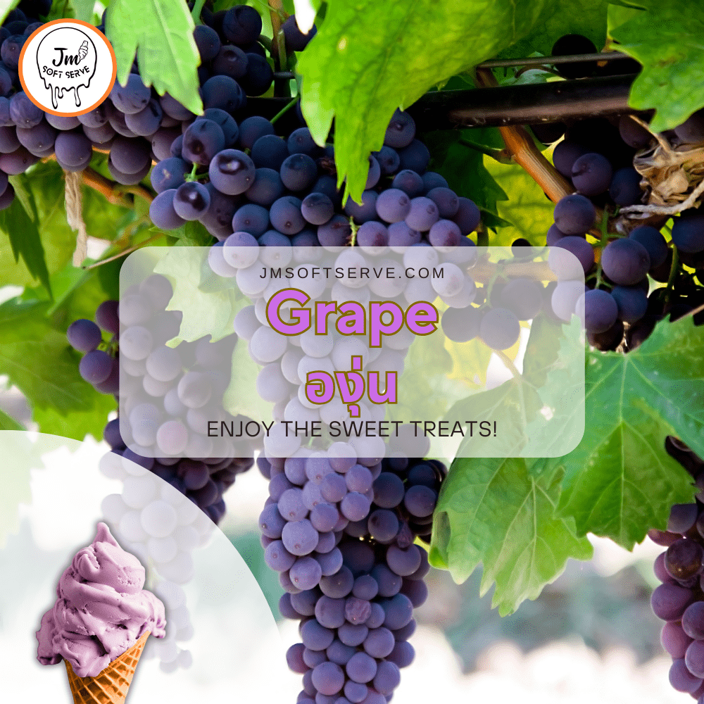 Grape Milk / องุ่น - jmsoftserve - ice cream machine thailand